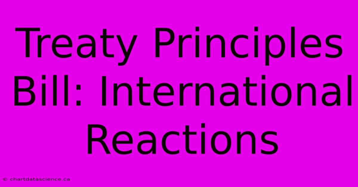 Treaty Principles Bill: International Reactions