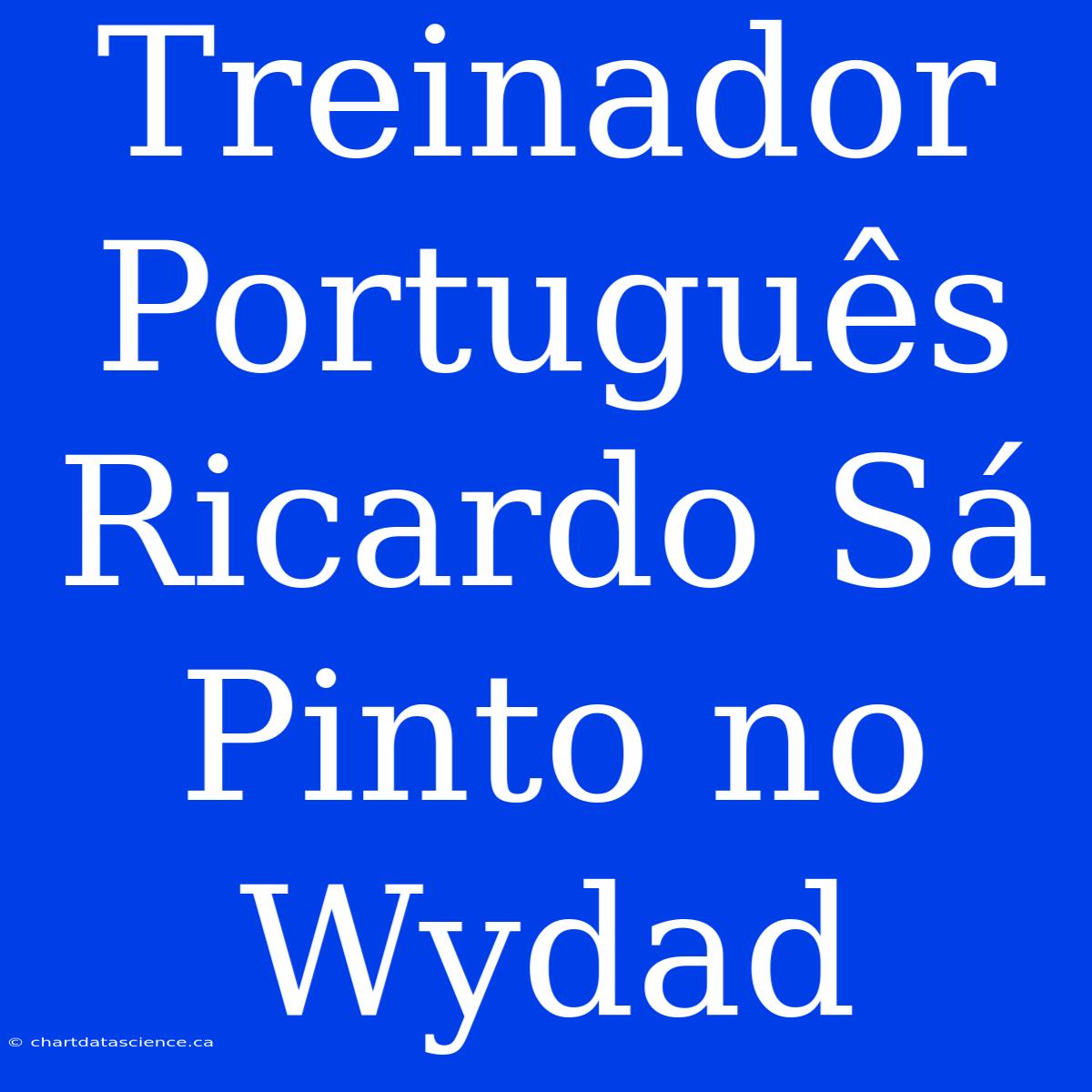 Treinador Português Ricardo Sá Pinto No Wydad