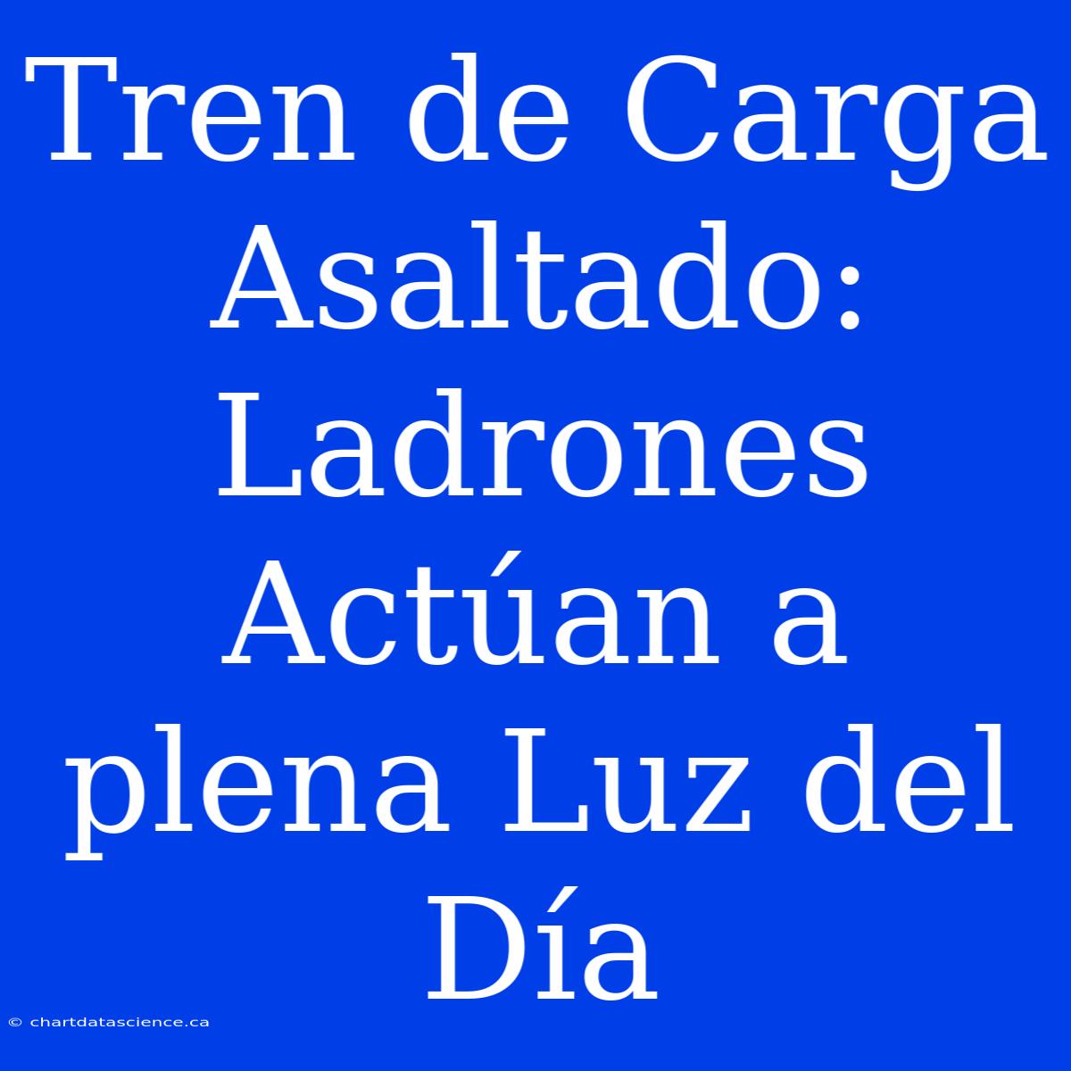 Tren De Carga Asaltado: Ladrones Actúan A Plena Luz Del Día