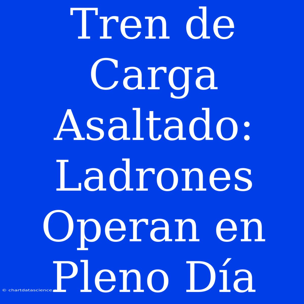 Tren De Carga Asaltado: Ladrones Operan En Pleno Día