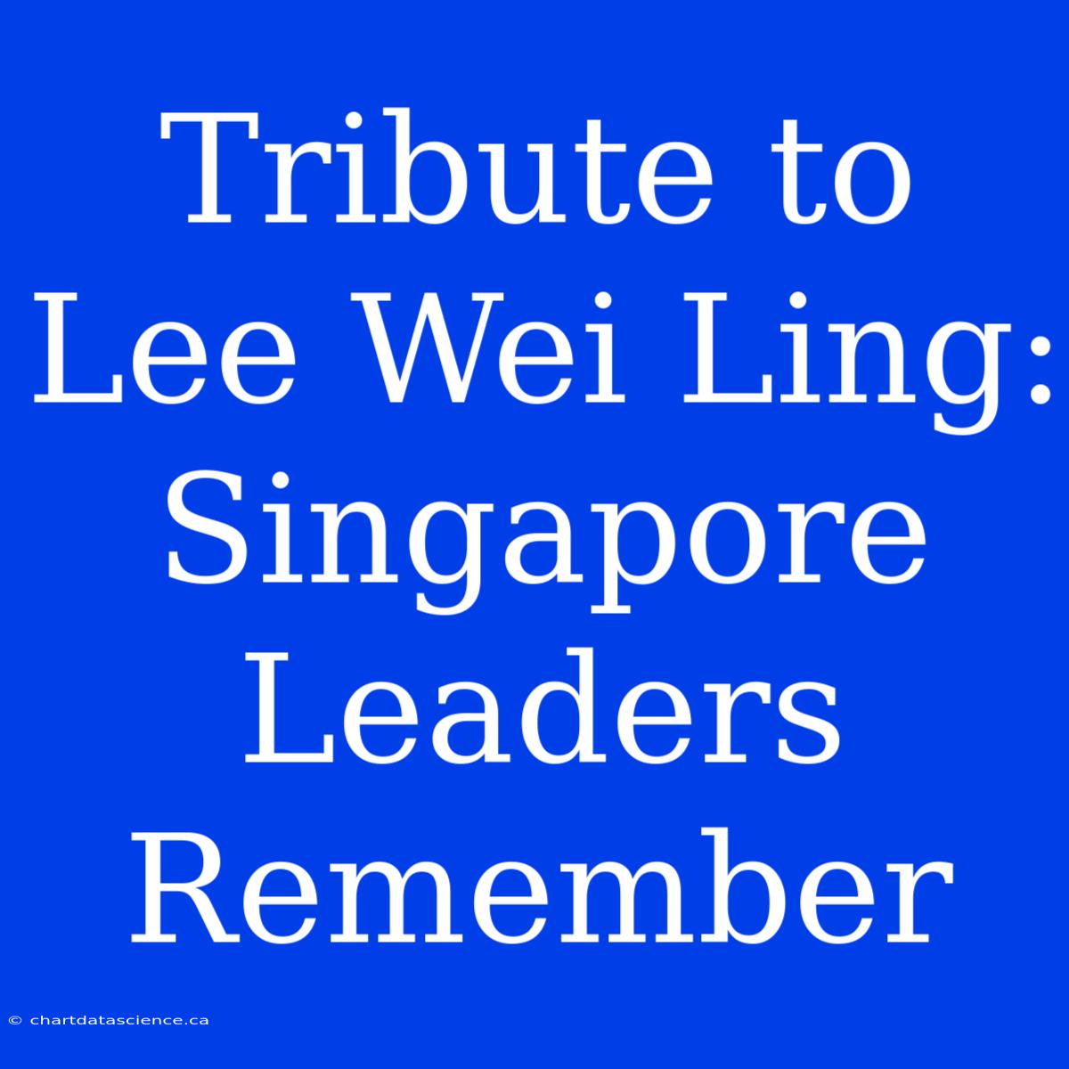 Tribute To Lee Wei Ling: Singapore Leaders Remember