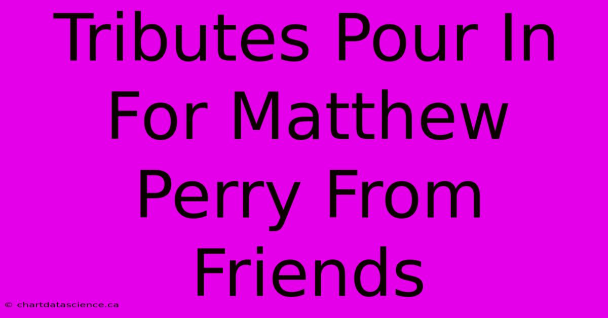 Tributes Pour In For Matthew Perry From Friends 