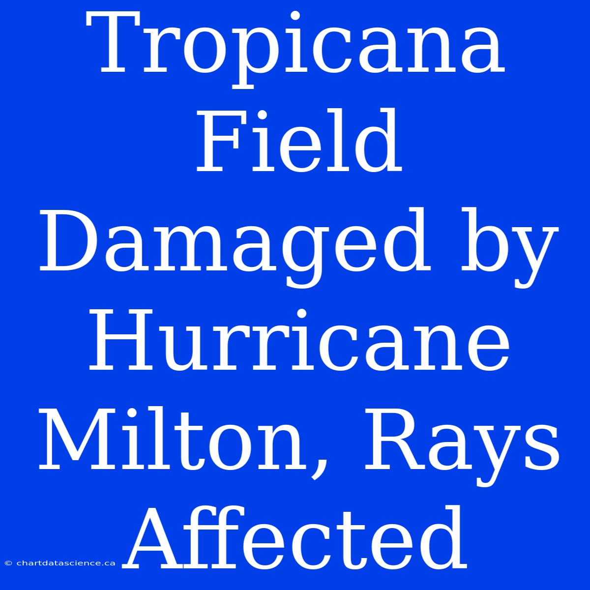 Tropicana Field Damaged By Hurricane Milton, Rays Affected