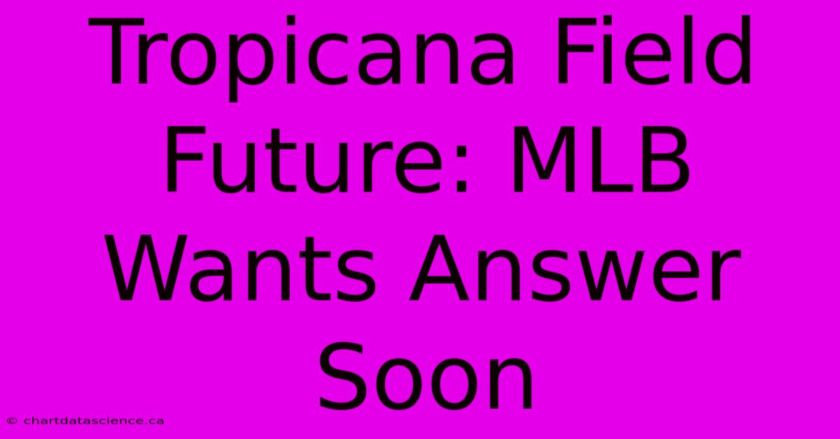 Tropicana Field Future: MLB Wants Answer Soon