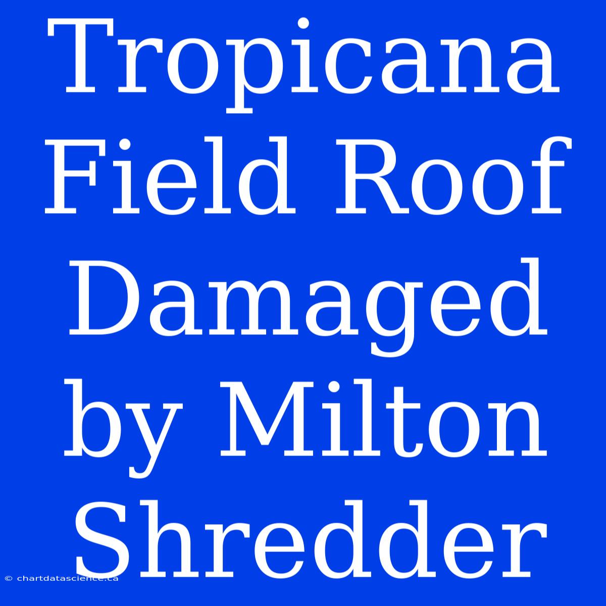 Tropicana Field Roof Damaged By Milton Shredder