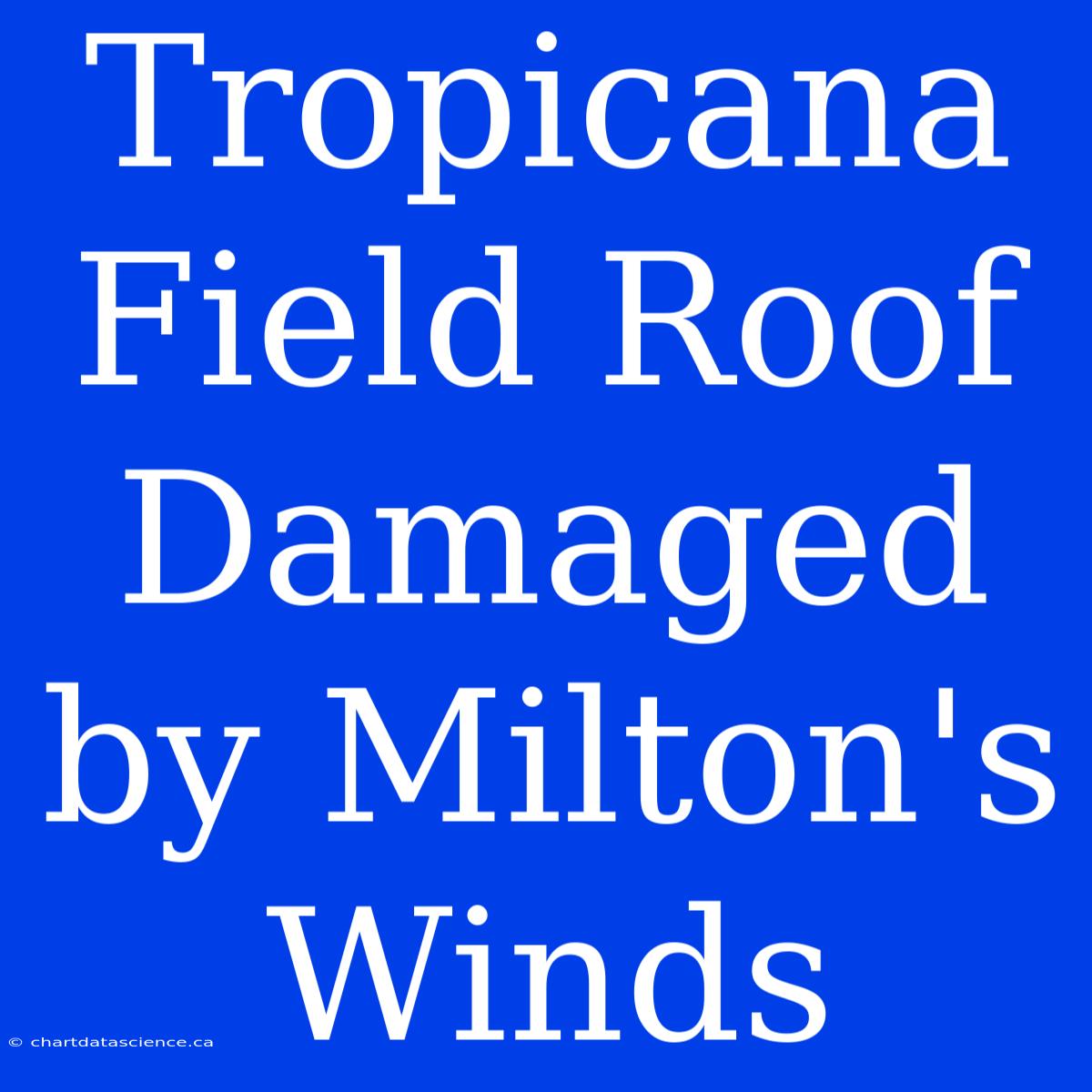 Tropicana Field Roof Damaged By Milton's Winds