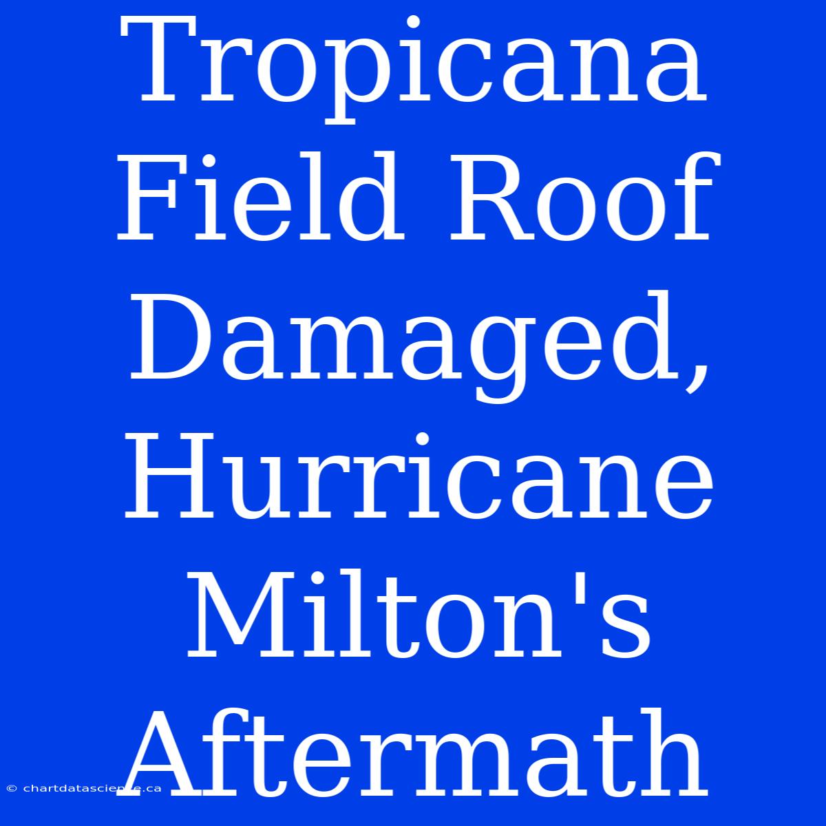 Tropicana Field Roof Damaged, Hurricane Milton's Aftermath