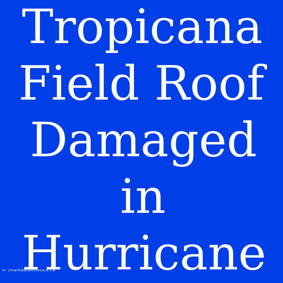 Tropicana Field Roof Damaged In Hurricane