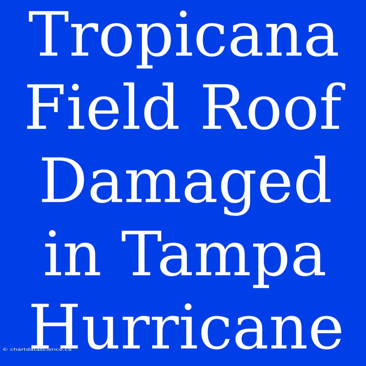 Tropicana Field Roof Damaged In Tampa Hurricane