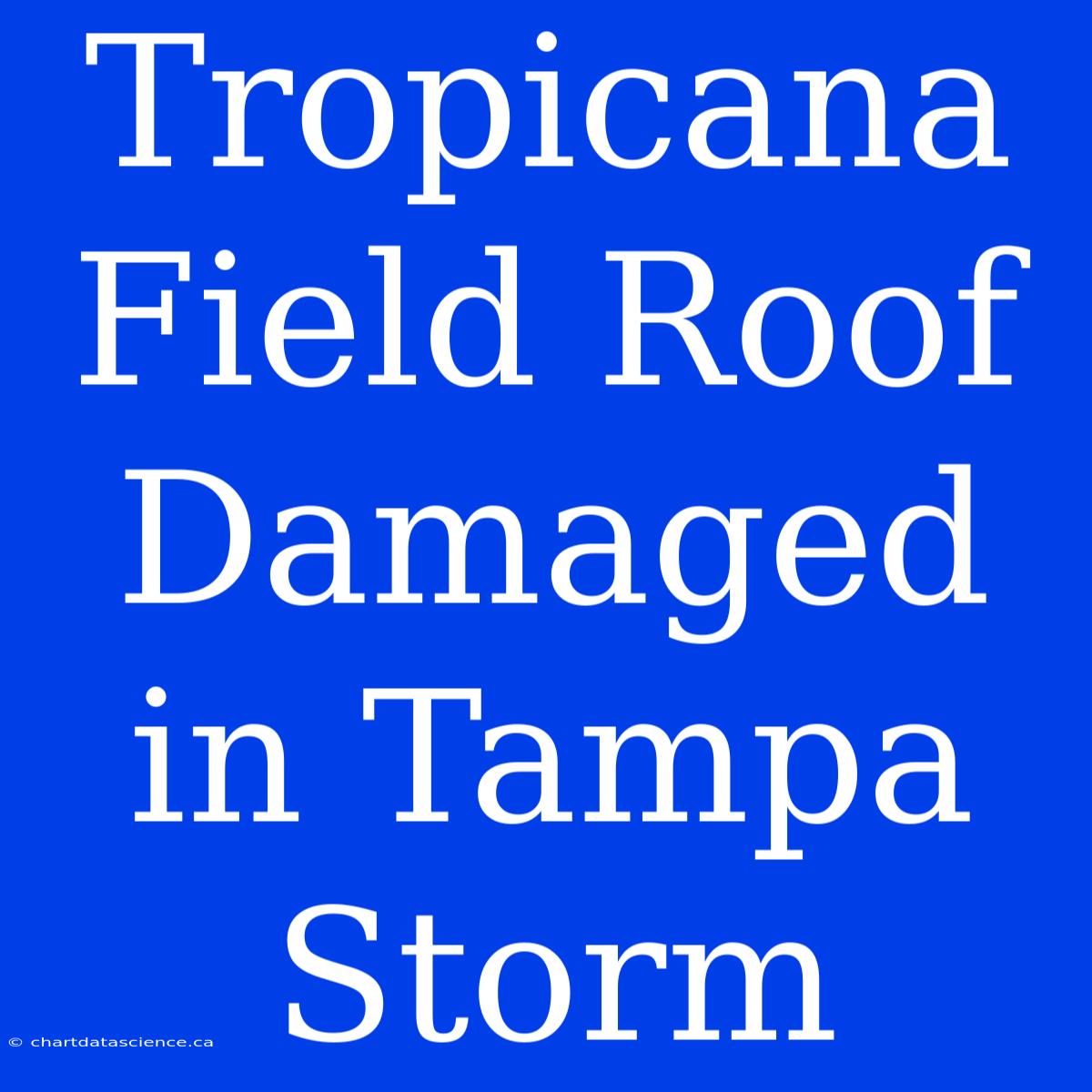 Tropicana Field Roof Damaged In Tampa Storm