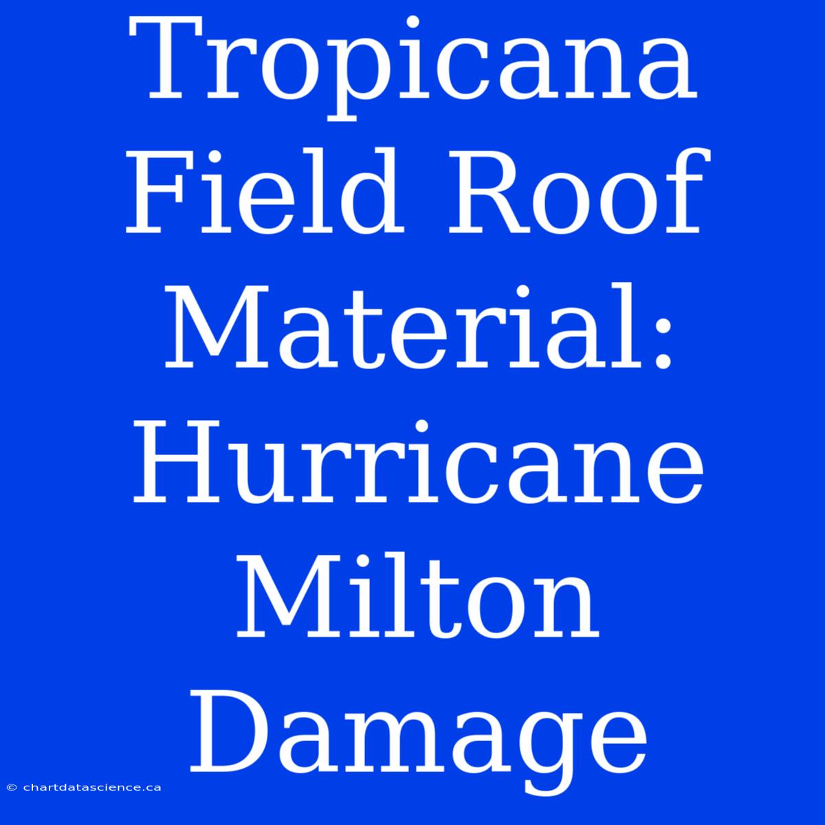 Tropicana Field Roof Material: Hurricane Milton Damage