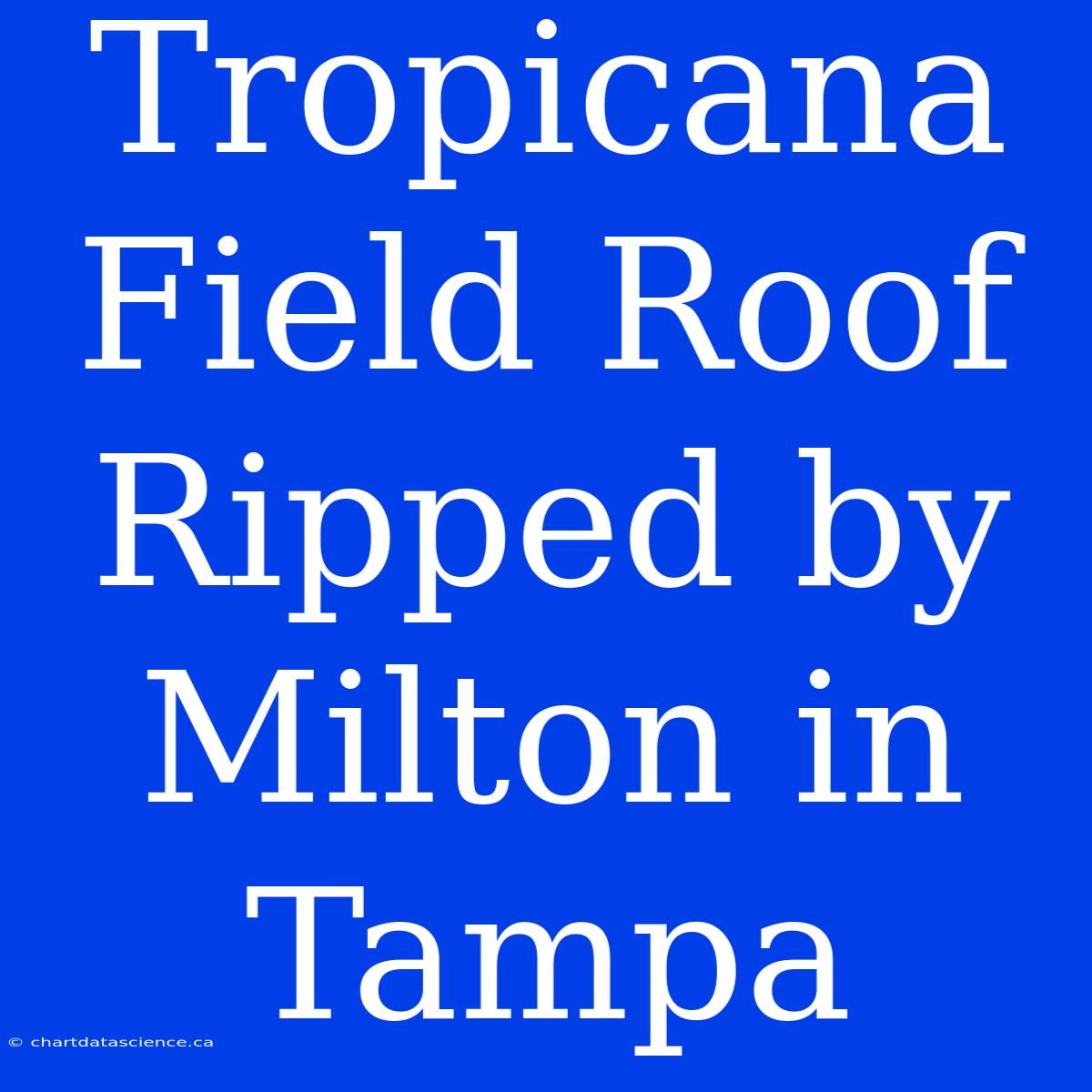 Tropicana Field Roof Ripped By Milton In Tampa