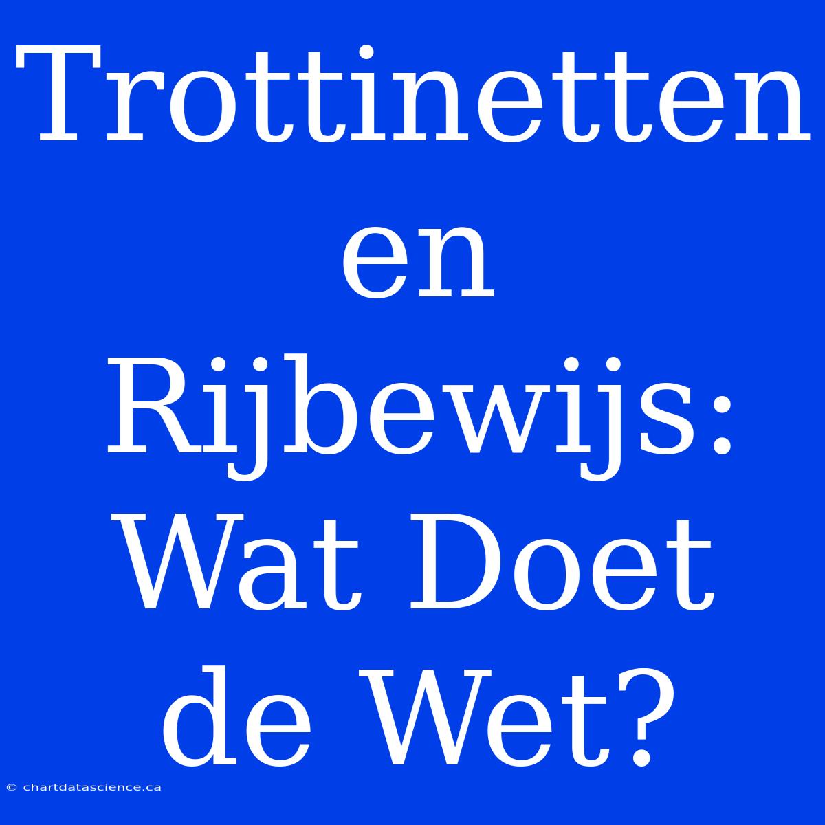 Trottinetten En Rijbewijs: Wat Doet De Wet?