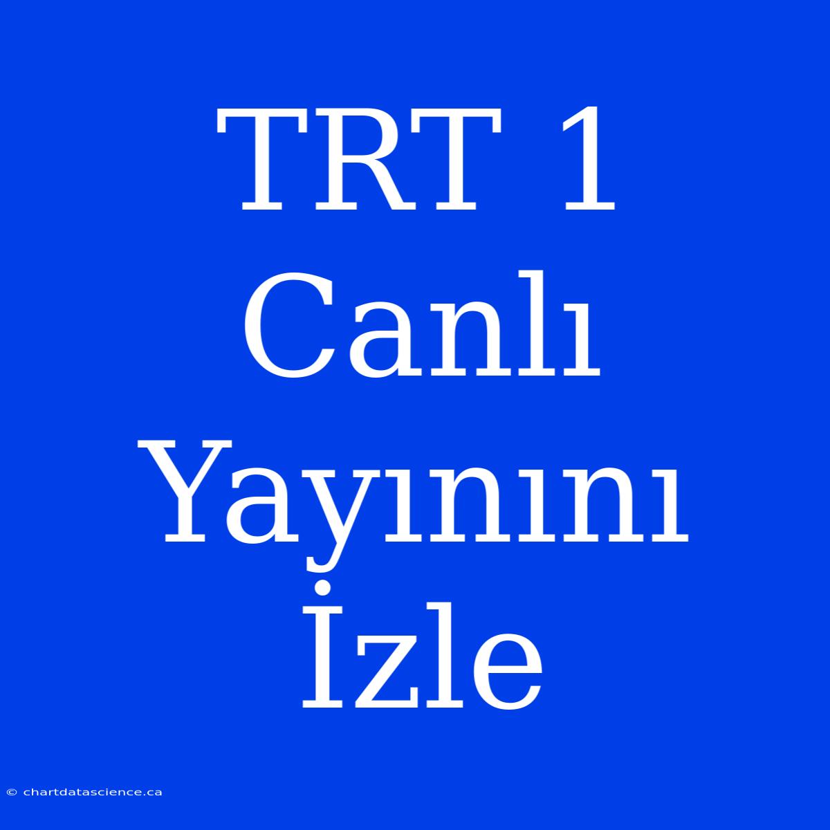 TRT 1 Canlı Yayınını İzle