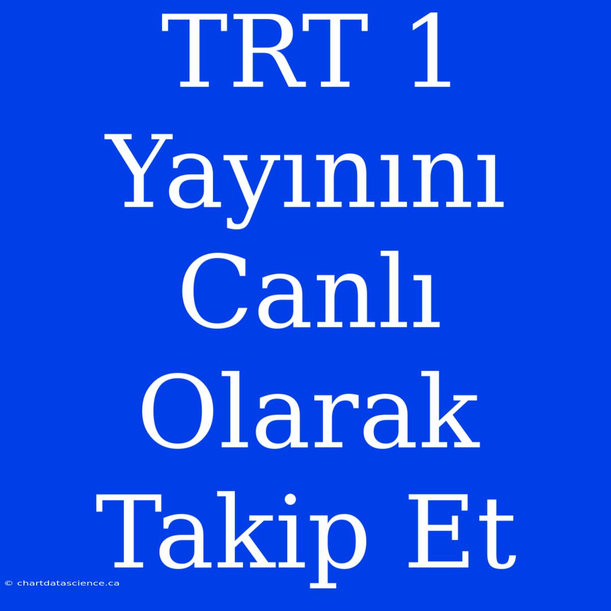 TRT 1 Yayınını Canlı Olarak Takip Et