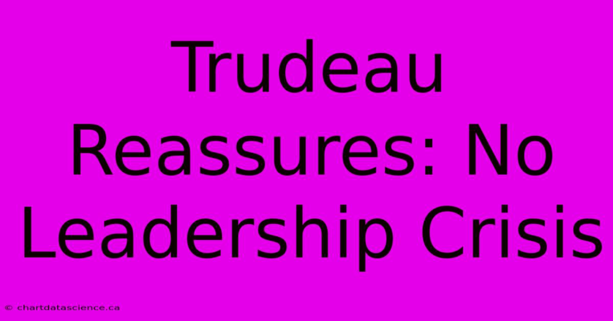 Trudeau Reassures: No Leadership Crisis 