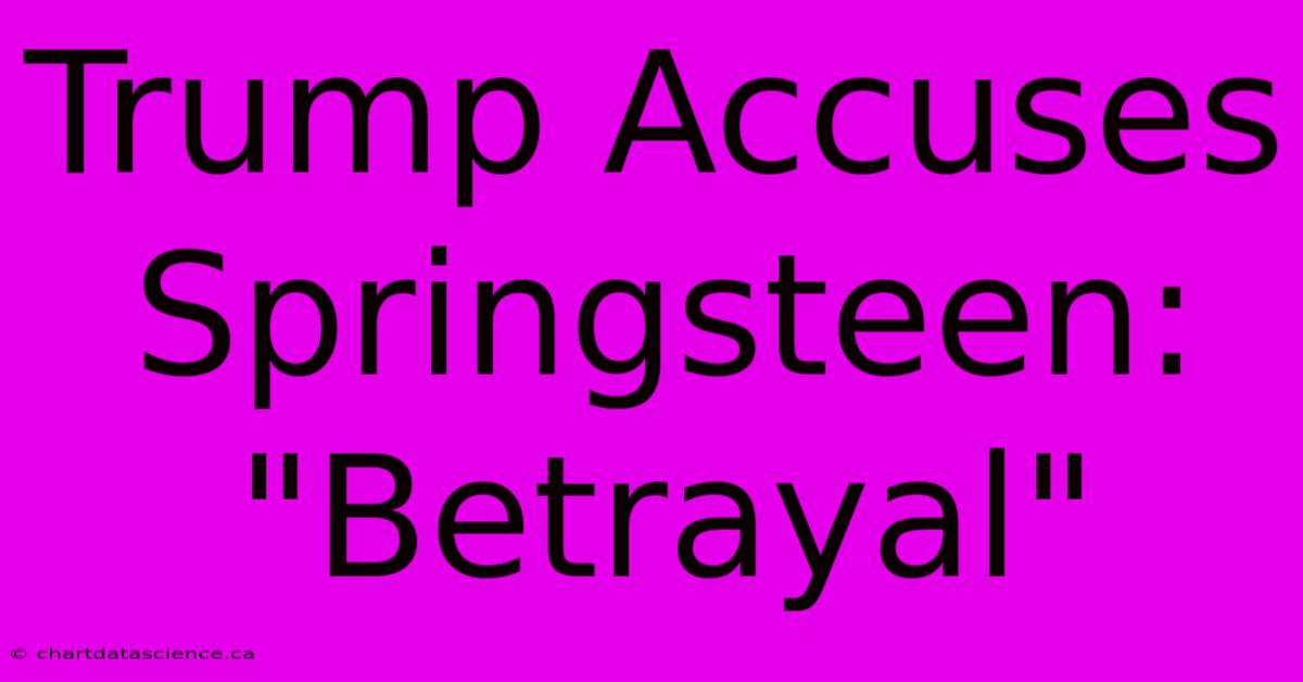 Trump Accuses Springsteen: 