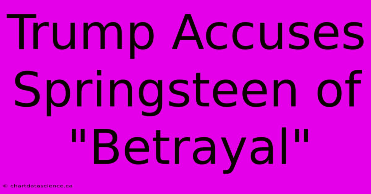 Trump Accuses Springsteen Of 