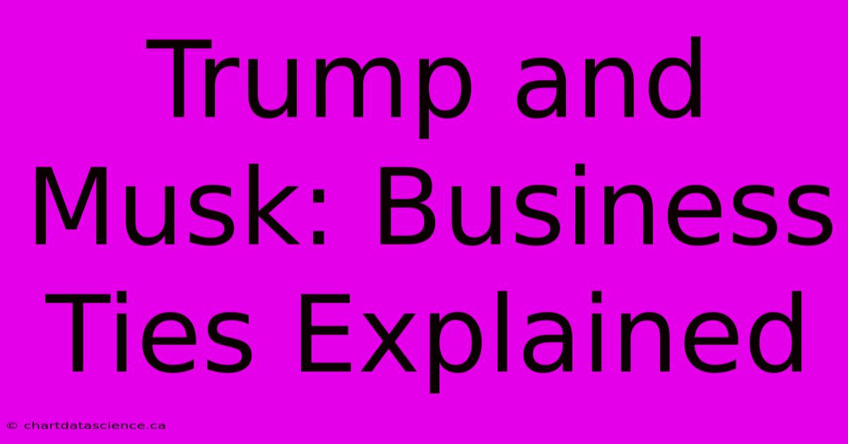 Trump And Musk: Business Ties Explained