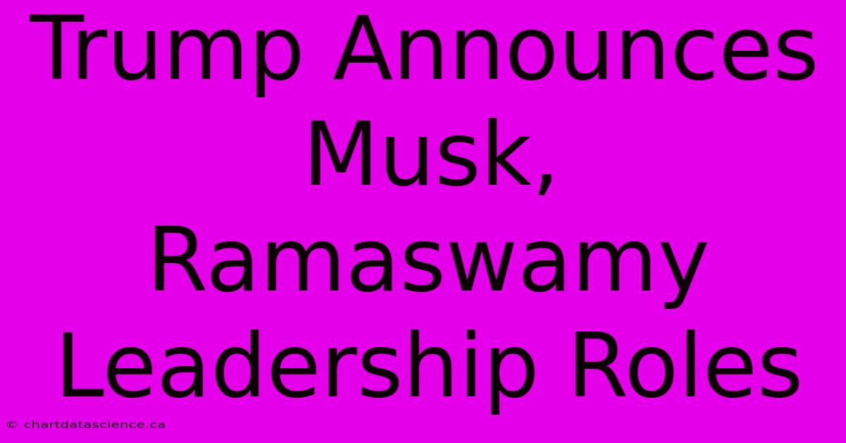 Trump Announces Musk, Ramaswamy Leadership Roles