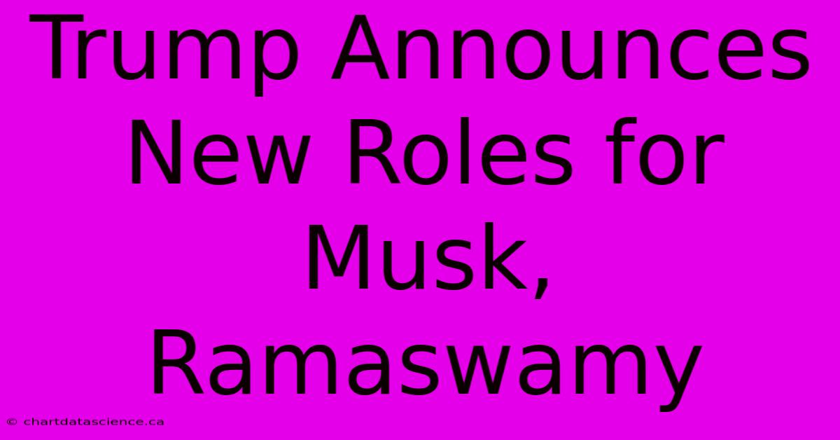 Trump Announces New Roles For Musk, Ramaswamy