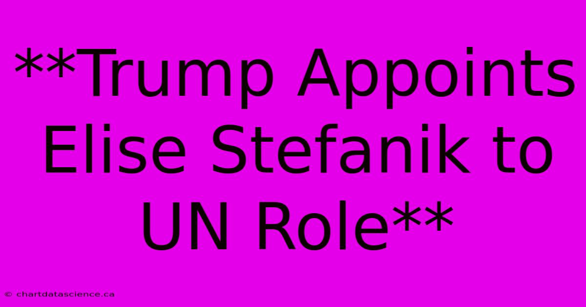 **Trump Appoints Elise Stefanik To UN Role** 