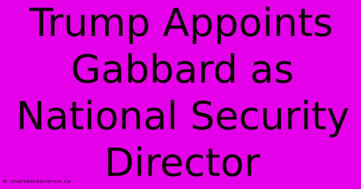 Trump Appoints Gabbard As National Security Director