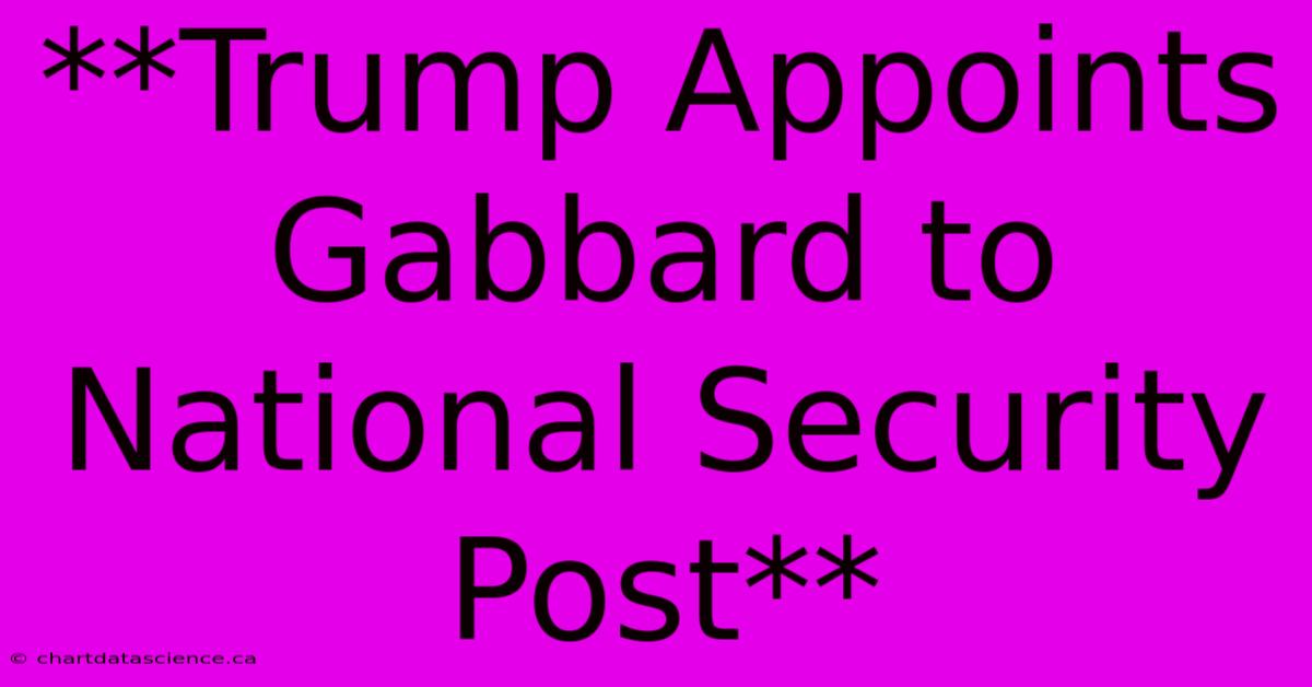 **Trump Appoints Gabbard To National Security Post**