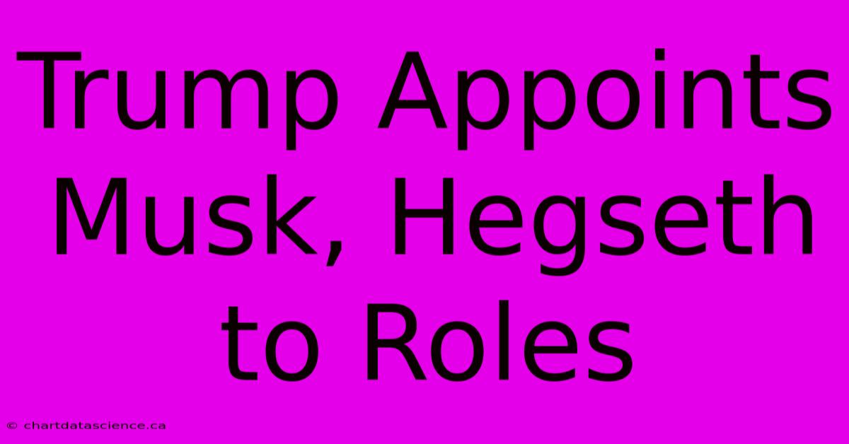 Trump Appoints Musk, Hegseth To Roles 