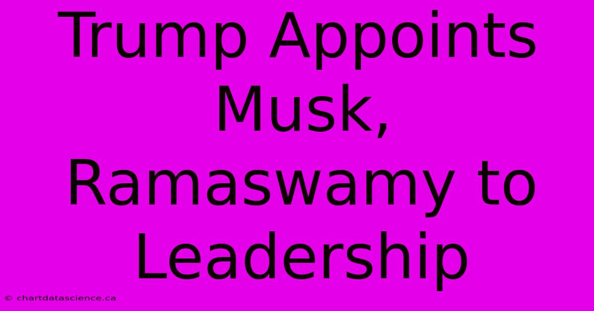 Trump Appoints Musk, Ramaswamy To Leadership