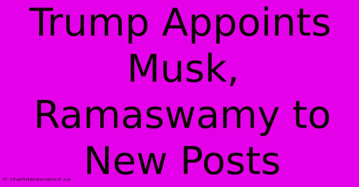 Trump Appoints Musk, Ramaswamy To New Posts