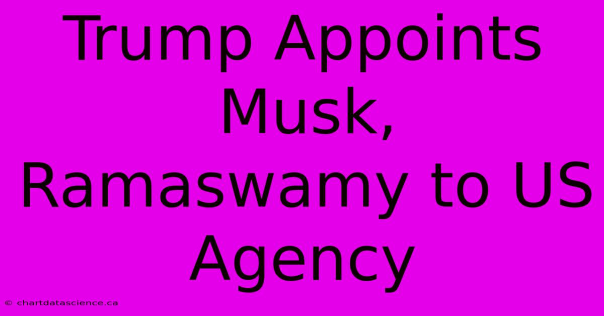 Trump Appoints Musk, Ramaswamy To US Agency 