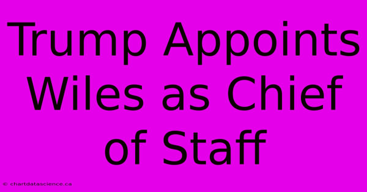 Trump Appoints Wiles As Chief Of Staff