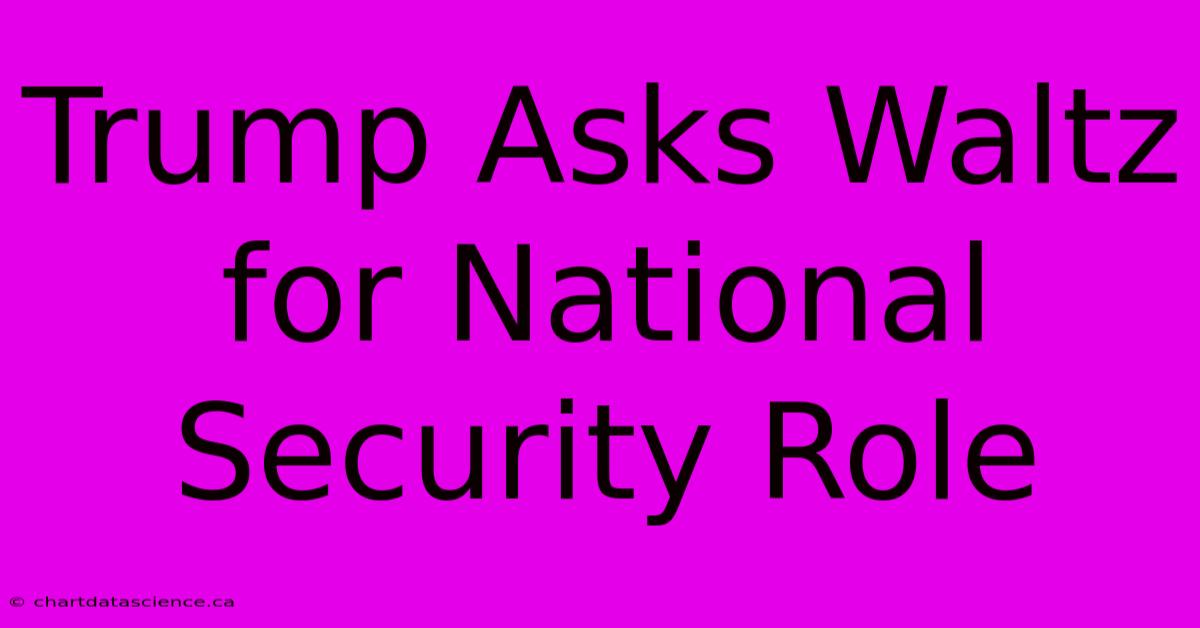 Trump Asks Waltz For National Security Role