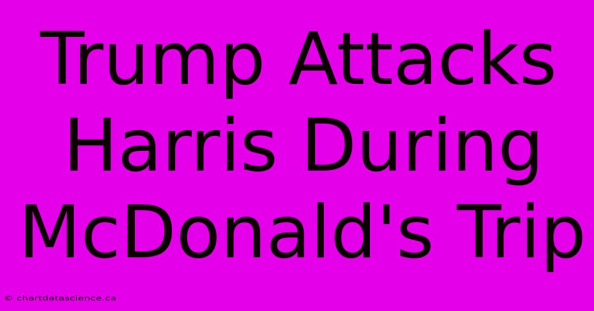 Trump Attacks Harris During McDonald's Trip 