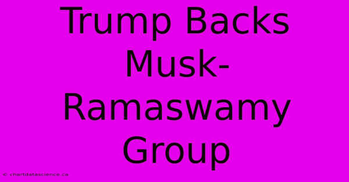 Trump Backs Musk-Ramaswamy Group