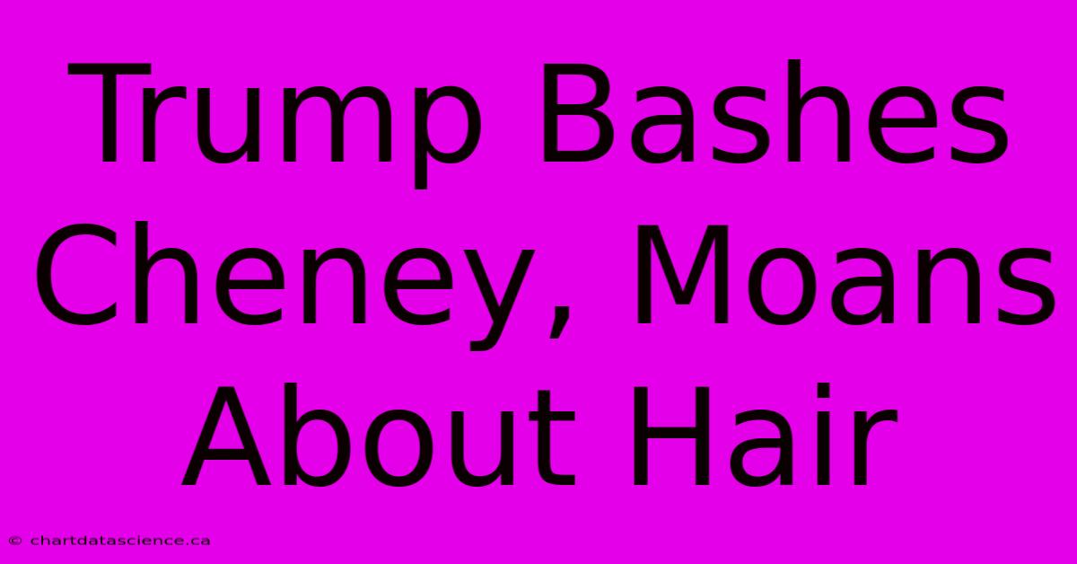 Trump Bashes Cheney, Moans About Hair