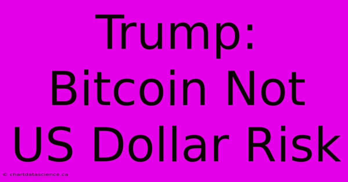 Trump: Bitcoin Not US Dollar Risk 