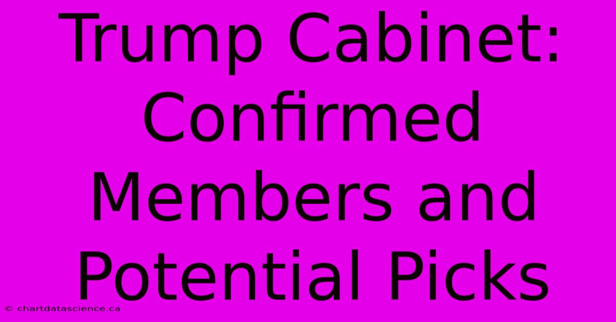 Trump Cabinet: Confirmed Members And Potential Picks 