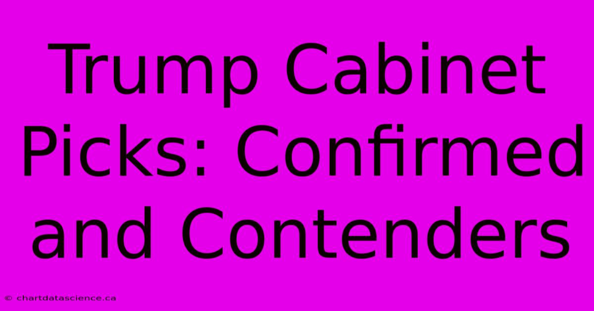 Trump Cabinet Picks: Confirmed And Contenders