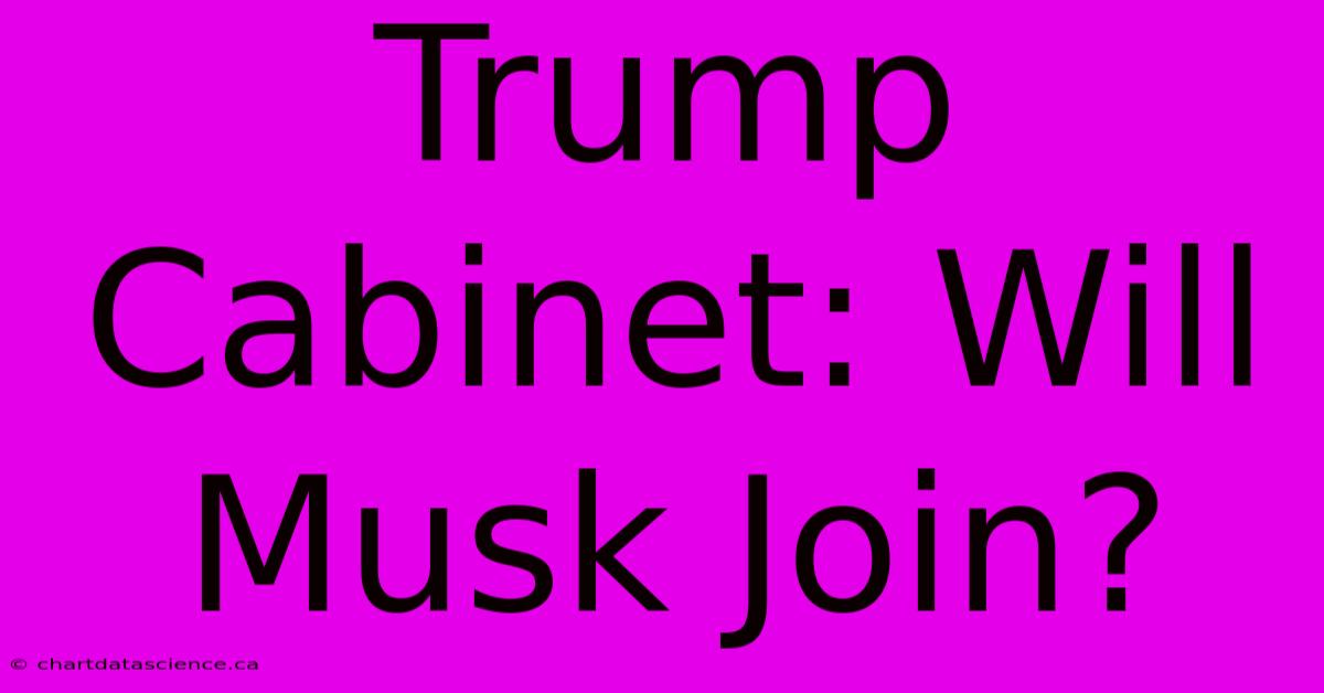 Trump Cabinet: Will Musk Join?