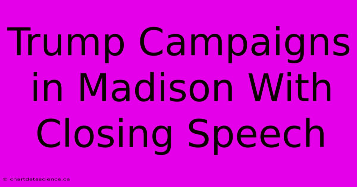 Trump Campaigns In Madison With Closing Speech 