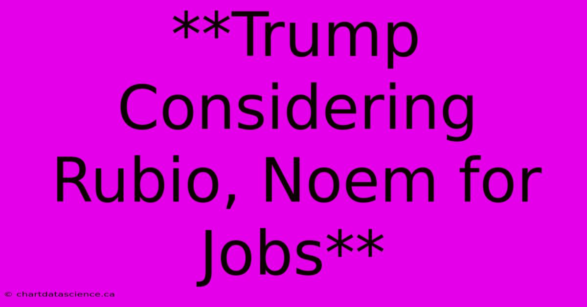 **Trump Considering Rubio, Noem For Jobs** 