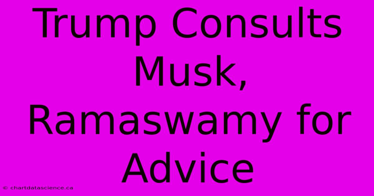 Trump Consults Musk, Ramaswamy For Advice