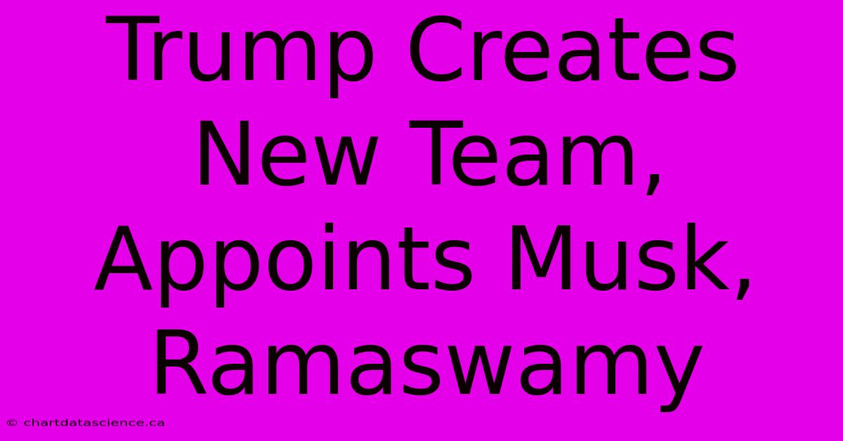 Trump Creates New Team, Appoints Musk, Ramaswamy