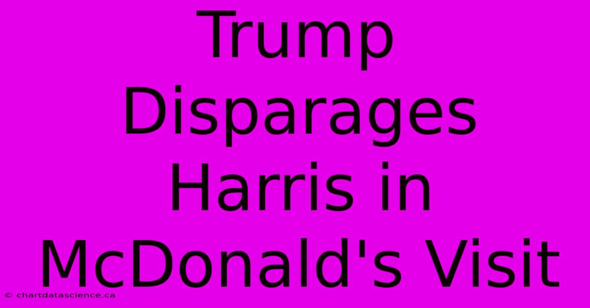 Trump Disparages Harris In McDonald's Visit