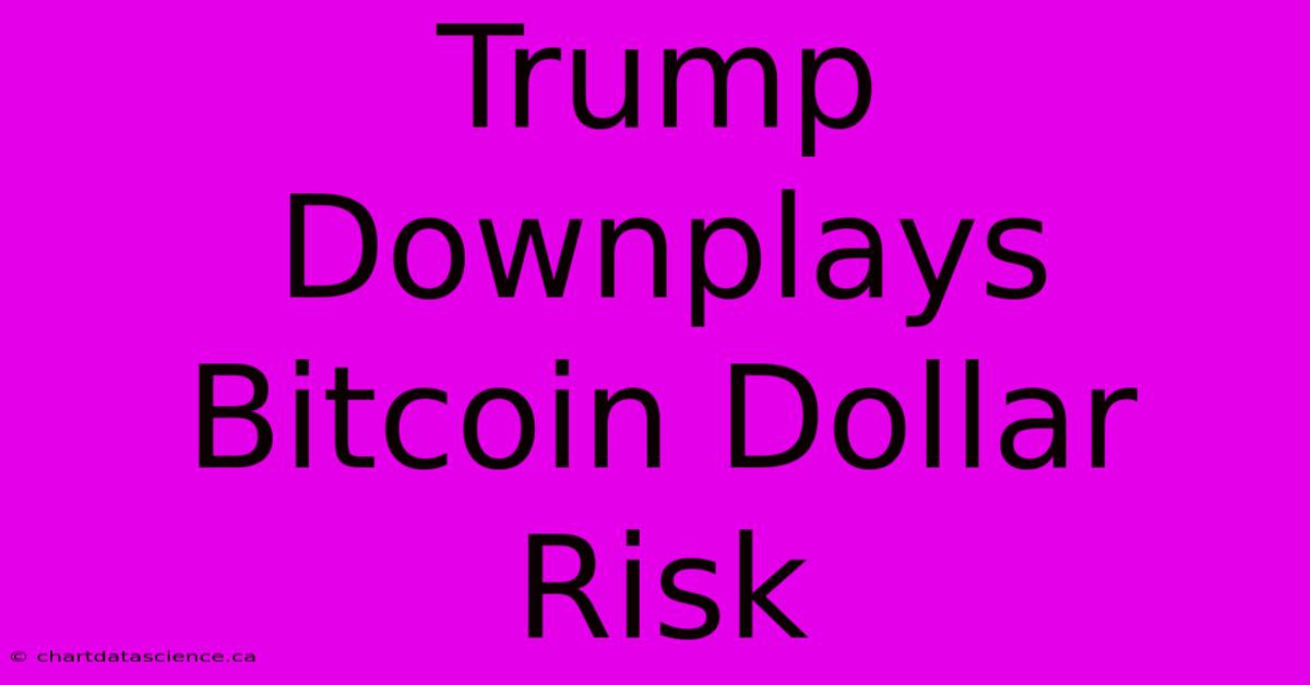 Trump Downplays Bitcoin Dollar Risk