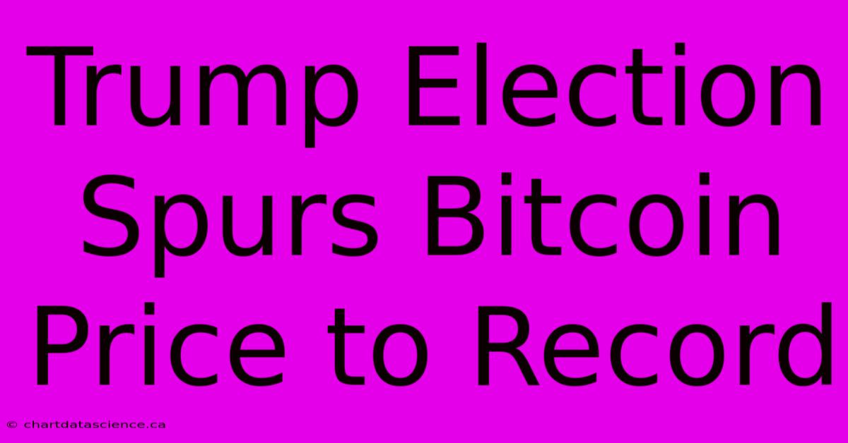 Trump Election Spurs Bitcoin Price To Record