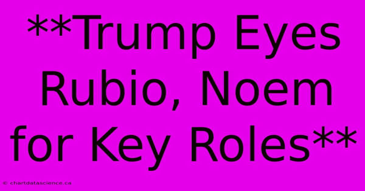 **Trump Eyes Rubio, Noem For Key Roles**