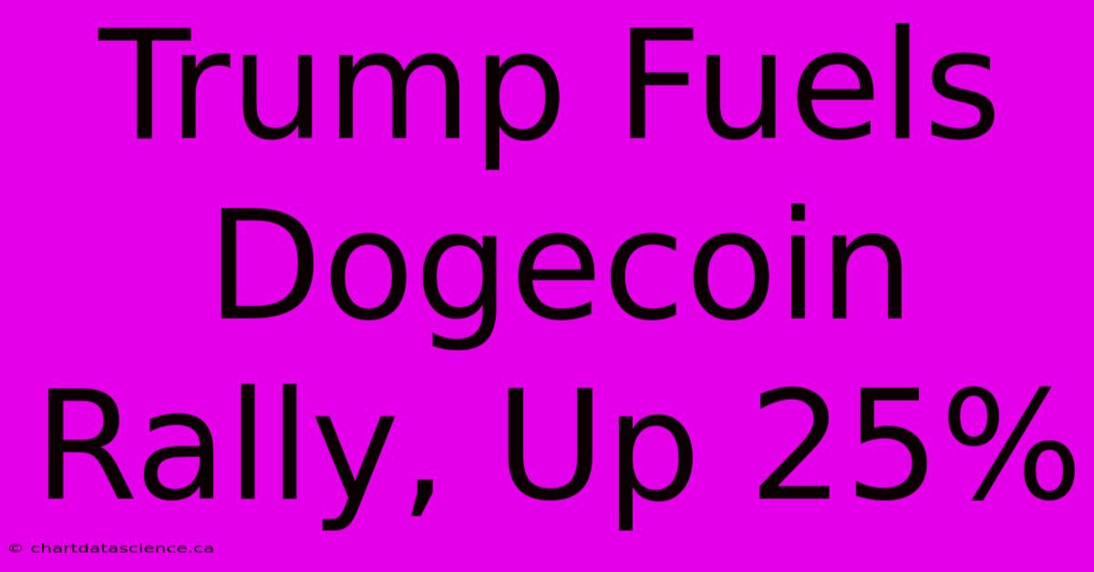 Trump Fuels Dogecoin Rally, Up 25% 